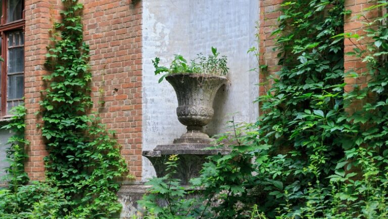 Садиба Даховських