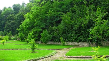 Кременецький ботанічний сад: зелена перлина серед гір