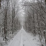Тоннель любви зимой