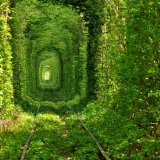 Тунель кохання влітку