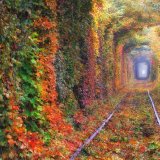 Тоннель любви осенью