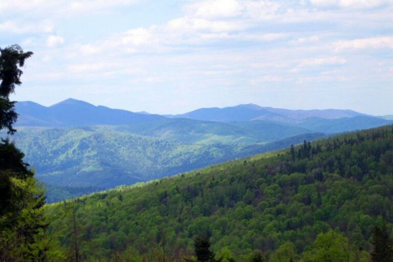 Панорама с г. Ключ