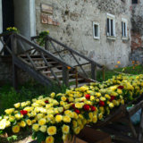 Flower Festival in the Castle of Saint Miklos