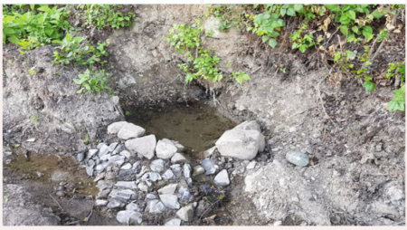 Source d’argent unique en Transcarpatie