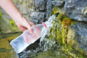 Silver Spring in Perechyn