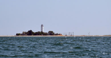 Острів Бірючий Острів Бірючий
