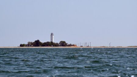 Острів Бірючий