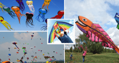 South Wind Kite Festival South Wind Kite Festival
