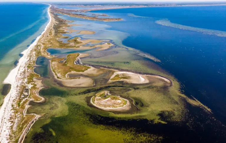 Кінбурнська коса — природна перлина Миколаївської області