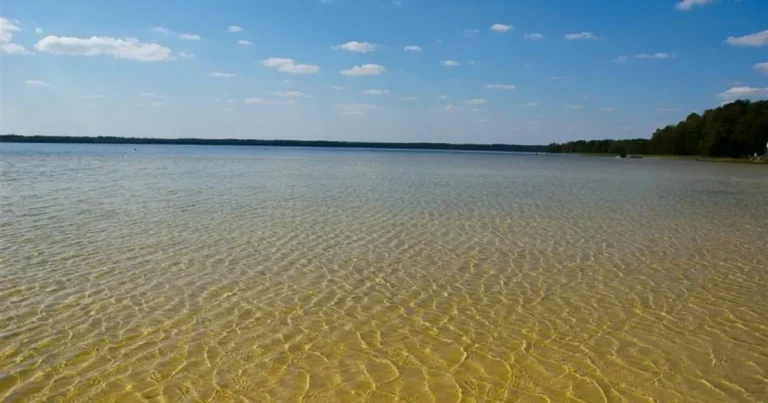 Біле озеро, Рівненщина — лікувальна перлина Полісся