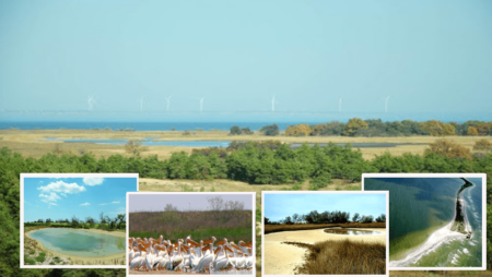 Национальный природный парк «Белобережье Святослава»