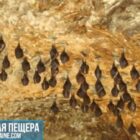 Печера Кришталева – travels-ukraine.com