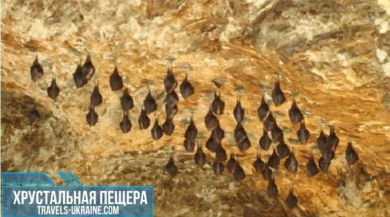 Печера Кришталева – travels-ukraine.com