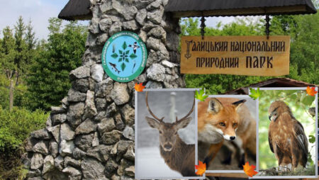 Галицький національний природний парк: Краса без меж