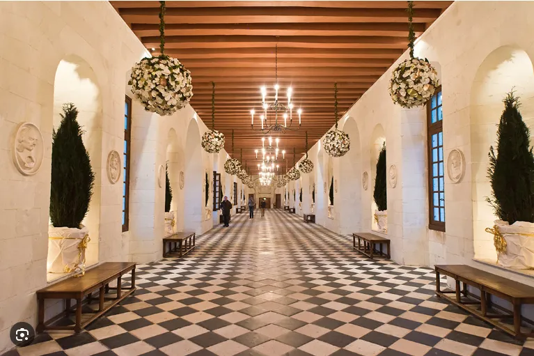 Музейний маєток Шенонсо