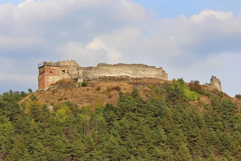 Кременецький замок, руїни фортеці серед лісу