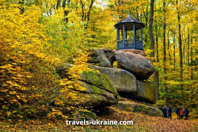Осінній пейзаж з бесідкою в лісі Дендропарку "Софіївка"
