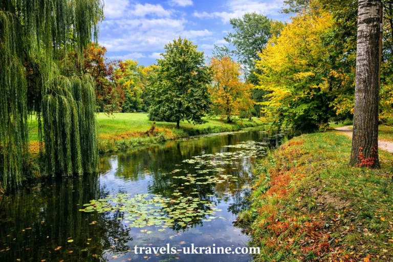 Олександріївський парк, осінній потік серед природного спокою