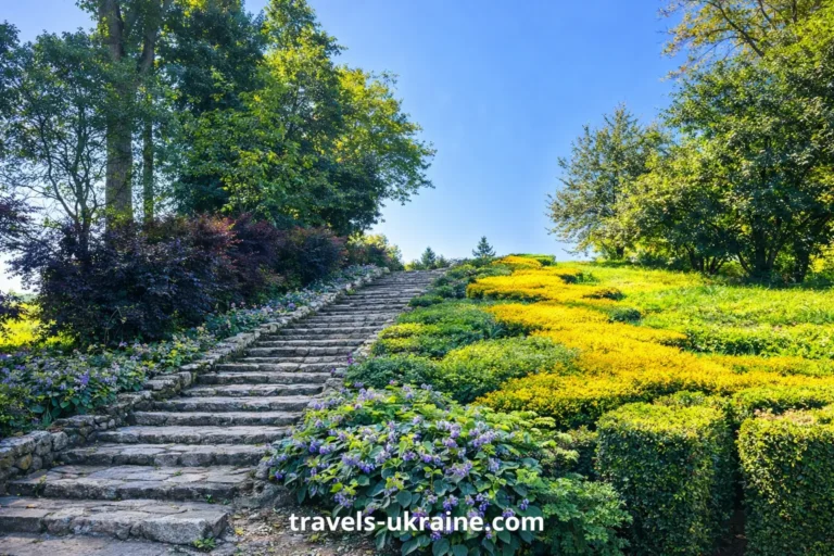 Ботанічний сад у Кременці -кам'яна сходи серед зелені