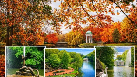 Дендропарк «Софіївка»: символ кохання та гордість Умані