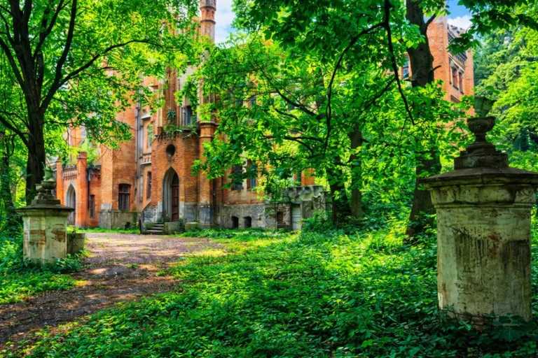 Забутий палац Даховських