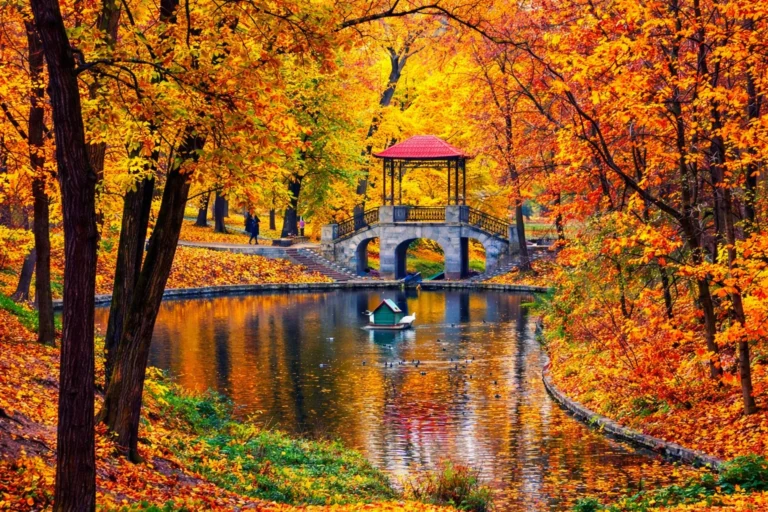 Як зберегти парк Олександрія для наступних поколінь