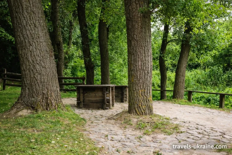 давні криниці у суботівському лісі