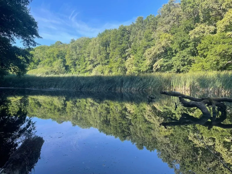 Холодний Яр Черкащина парк
