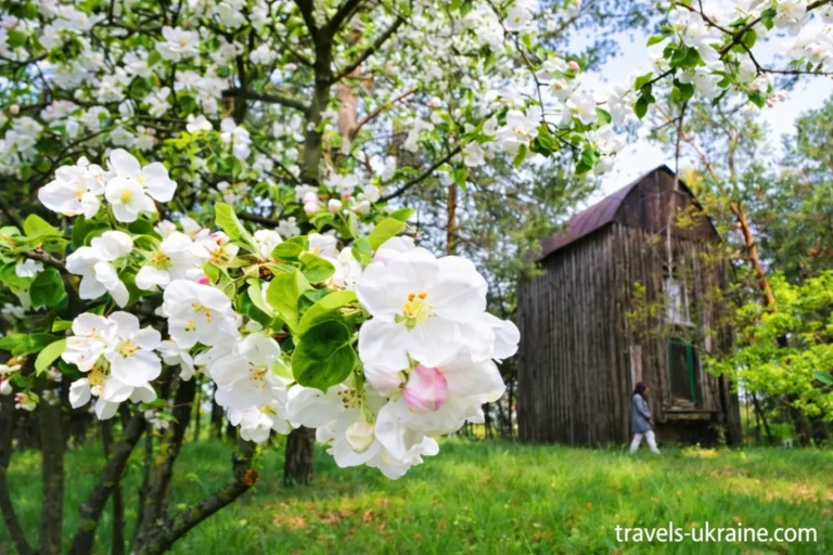 Озеро Бучак, відпочинок на природі