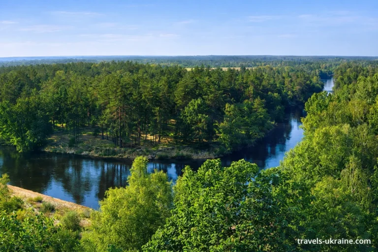 Річка серед зелених лісів, Поліський заповідник