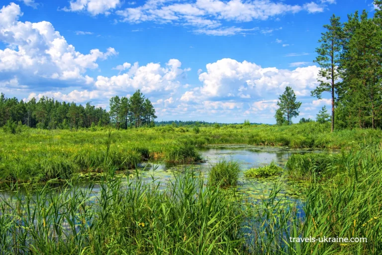 Поліський заповідник: подорож у серце дикого світу