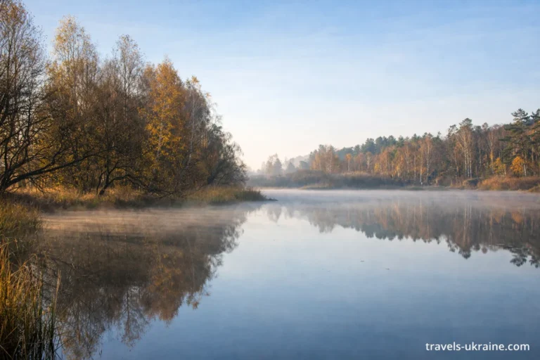 Поліський заповідник Житомирської області
