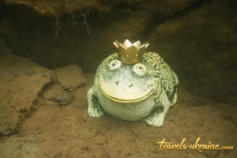 жабеня на дні Малинського підводного музея