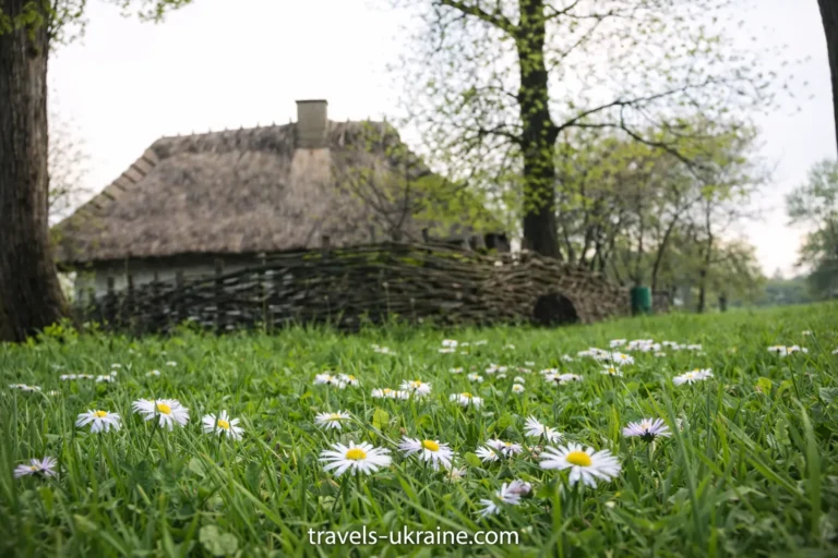 «Батьківщина Тараса Шевченка»