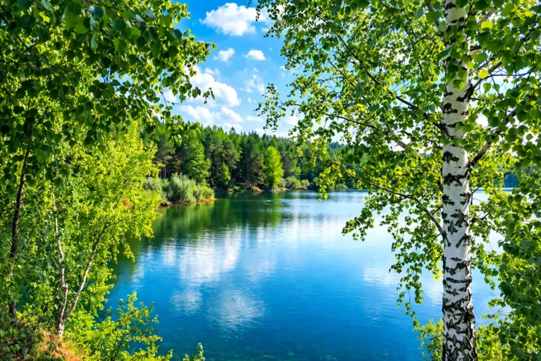 Історія Пашинського кар’єру: як кар’єр став озером