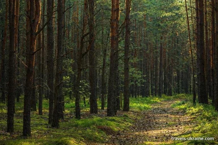 екскурсія до Поліського заповідника
