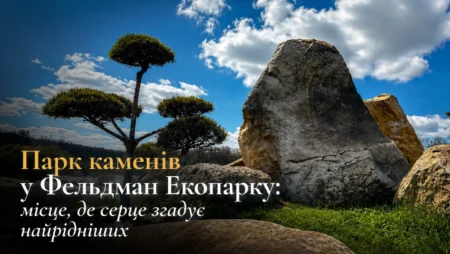 Парк каменів у Фельдман Екопарку: місце пам’яті