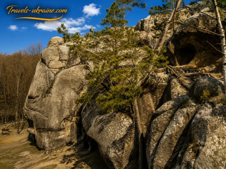 Скелястий ландшафт з деревами на Скелях Довбуша