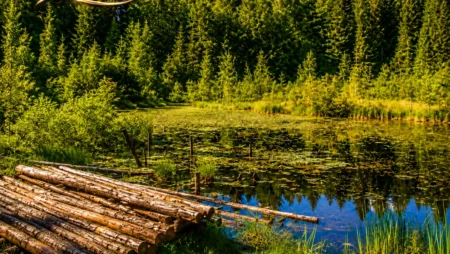 Lake Dead (Crane), Kamenka