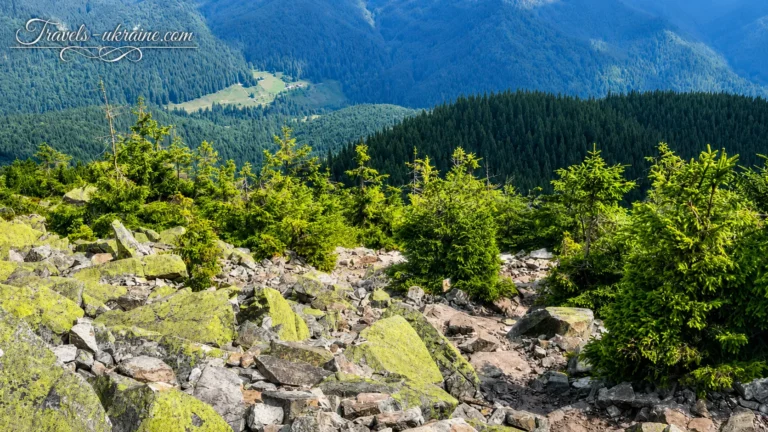 Гора Хом’як, панорама на гори