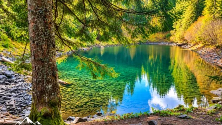 Secrets of the depths of the Carpathians: Lake Rosokhan