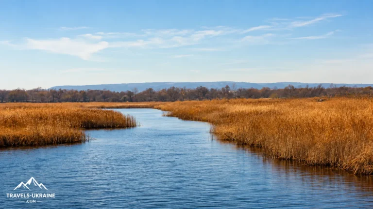 Водний світ Галицького національного парку