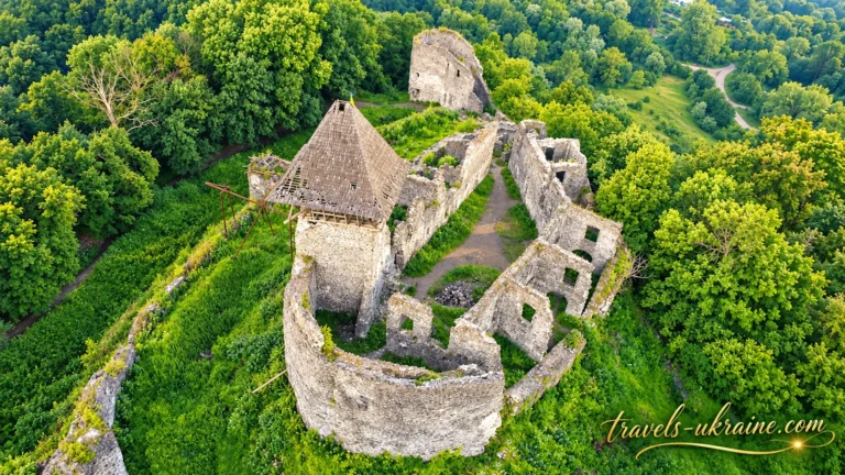 Руїни Невицького замку серед зелених лісів Карпат